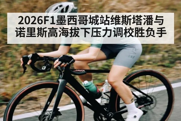 2026F1墨西哥城站维斯塔潘与诺里斯高海拔下压力调校胜负手