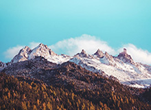 炸金花游戏下载-下半场强势反扑 新疆男篮主场逆转胜广东